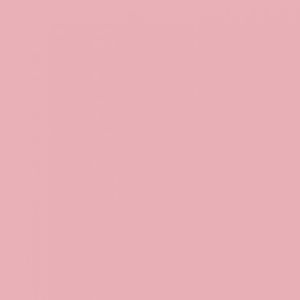 Meet your Posher, Lis